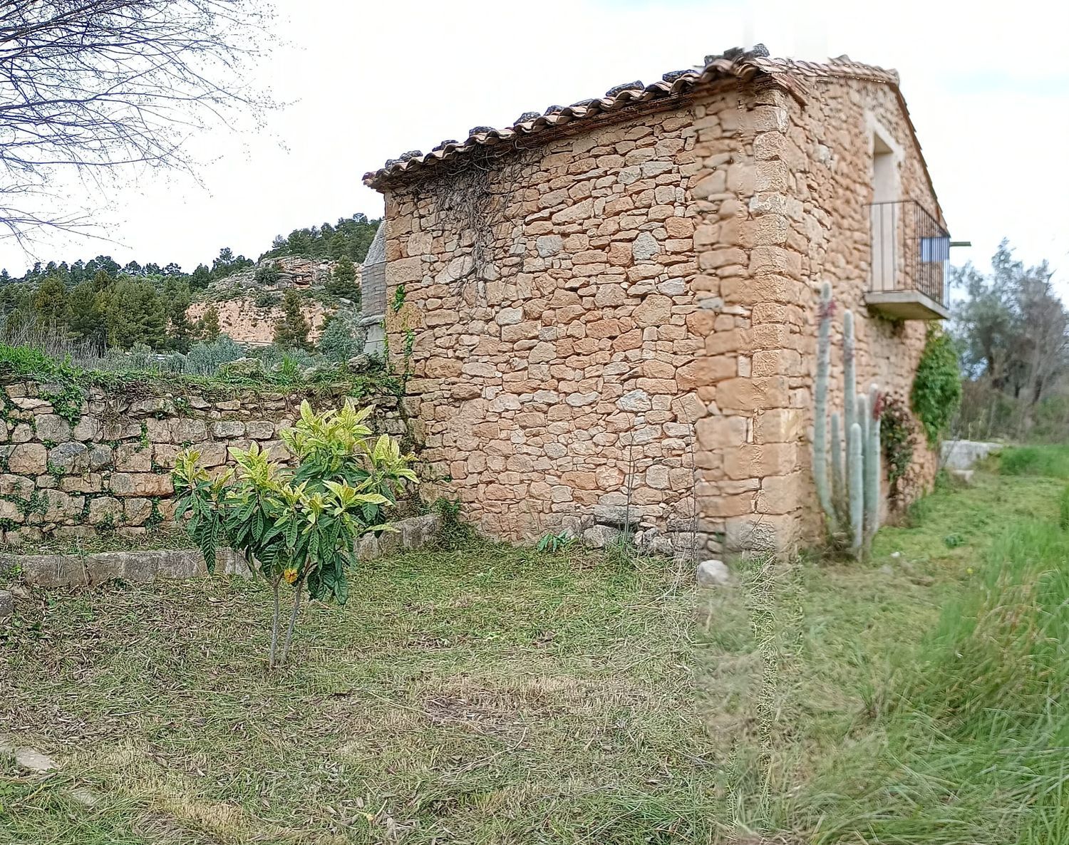 Finca rústica en Te-v-3001 s/n - Foto 4