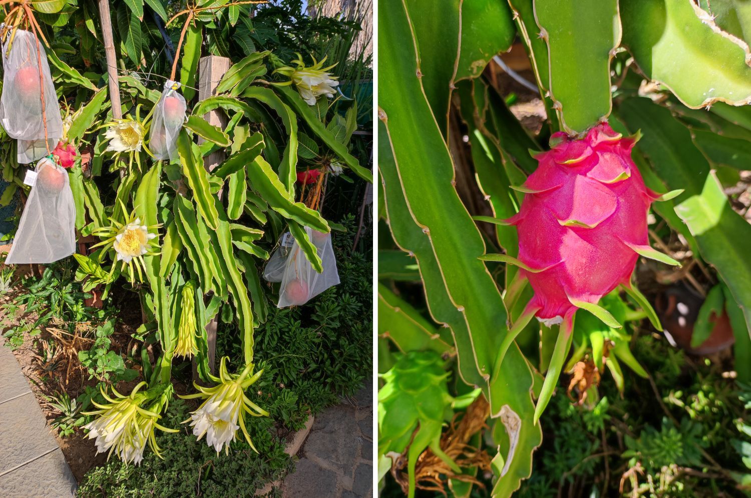 Chalet adosado en calle Almería, 63 - Foto 24