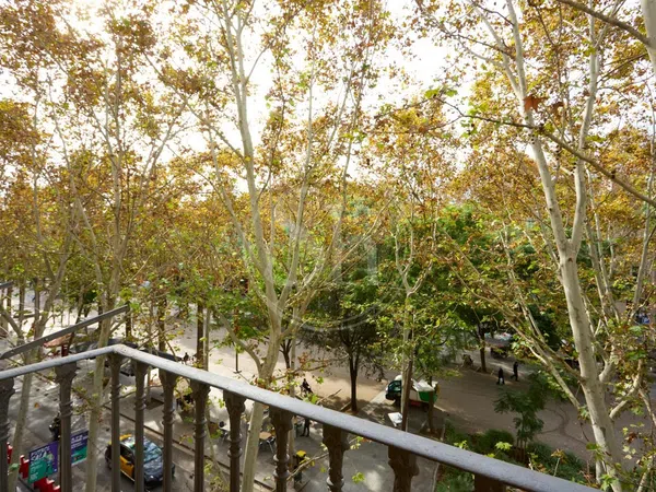 Piso en Passatge de Bernardí Martorell, El Raval - Foto 25