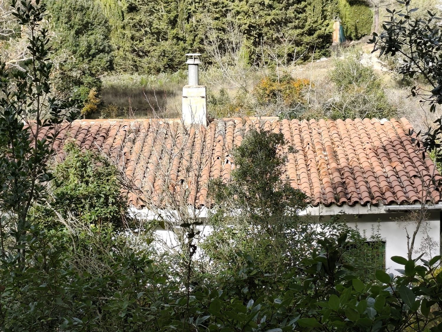 Finca rústica en Vall de sant Marc, la torrussolla s/n - Foto 22