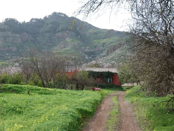 Casa o chalet independiente en Calle finca del pedregal s/n - Foto 26