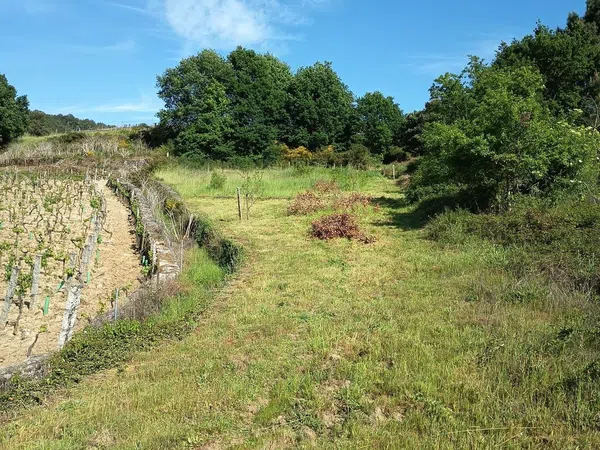 Casa de pueblo en Praza s/n - Foto 21
