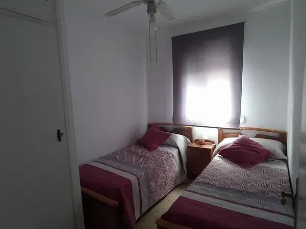 Casa o chalet independiente en Calle Delfín, 37 - Foto 4