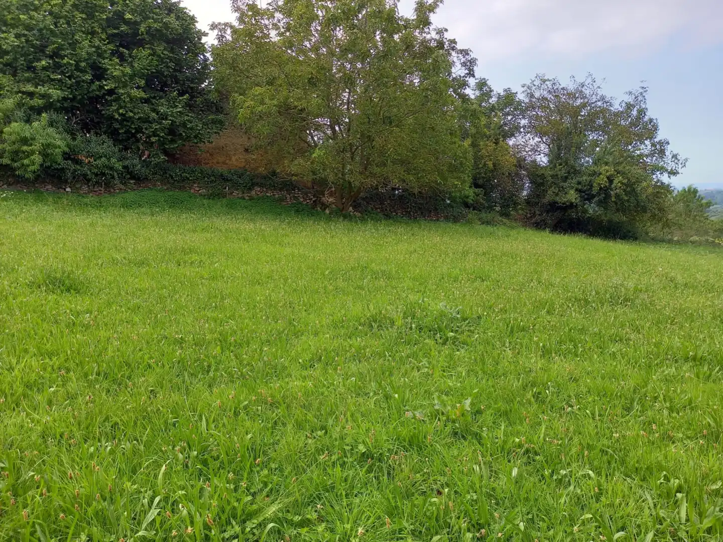 Terreno Residencial en  Lamadrid-Radillo 1 - Foto 3