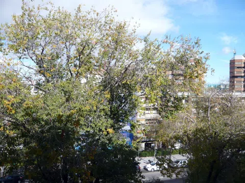 Piso en calle Costa Rica, 18