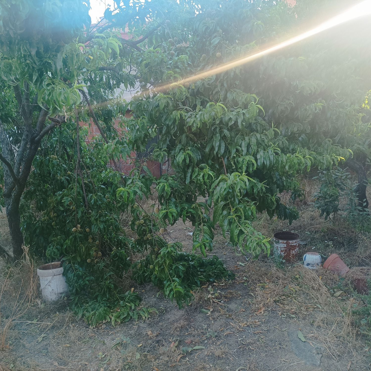 Casa de pueblo en Calle Peligro, 15 - Foto 3
