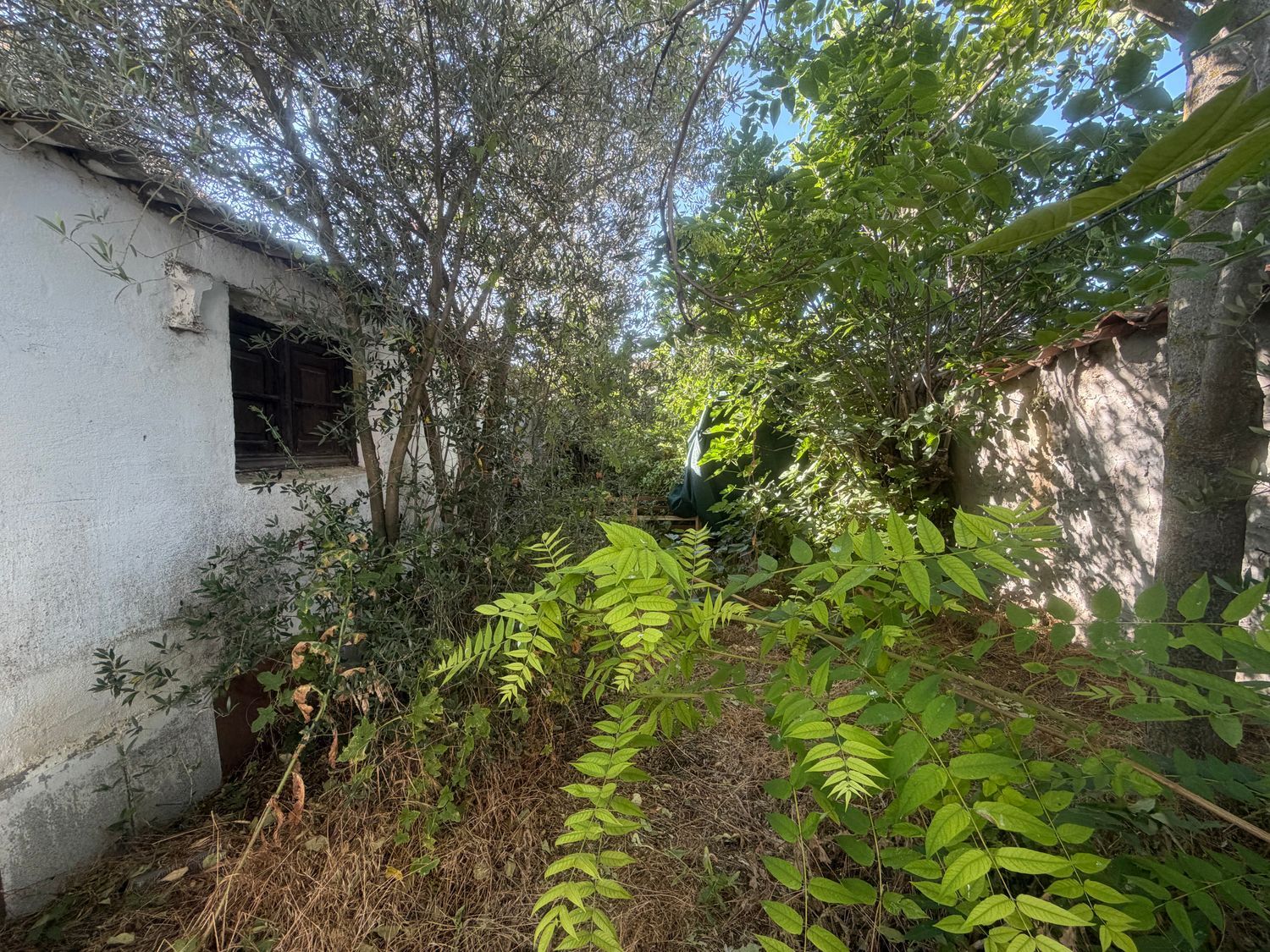 Casa de pueblo en Calle Olma, 13 - Foto 13