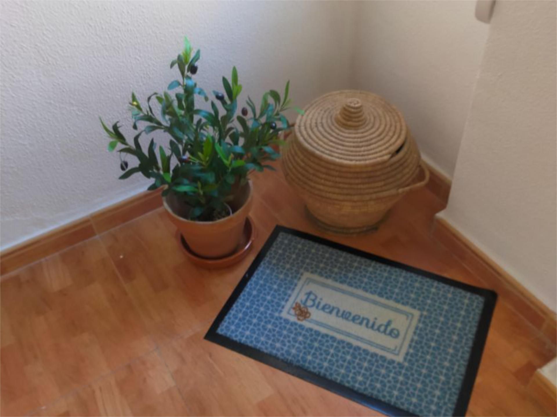 Piso en  Calle Eugenio Gross 27 - Foto 2