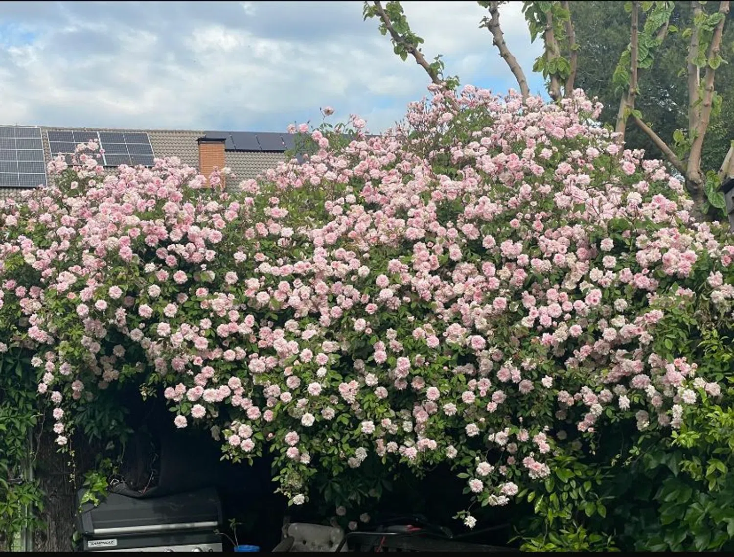 Chalet adosado en avenida de Gaudí, 2 - Foto 26