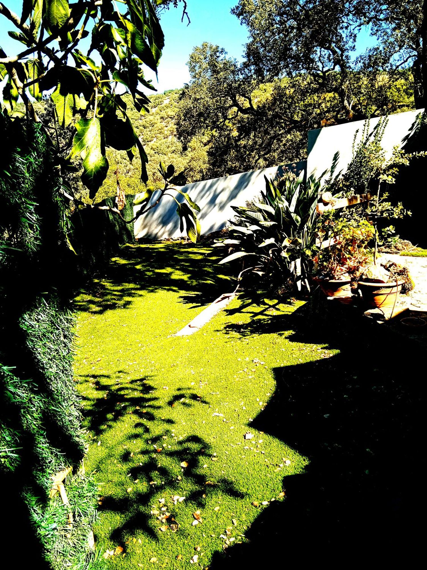 Casa rural en Aldea de los Bravos, Aroche, 2 - Foto 24