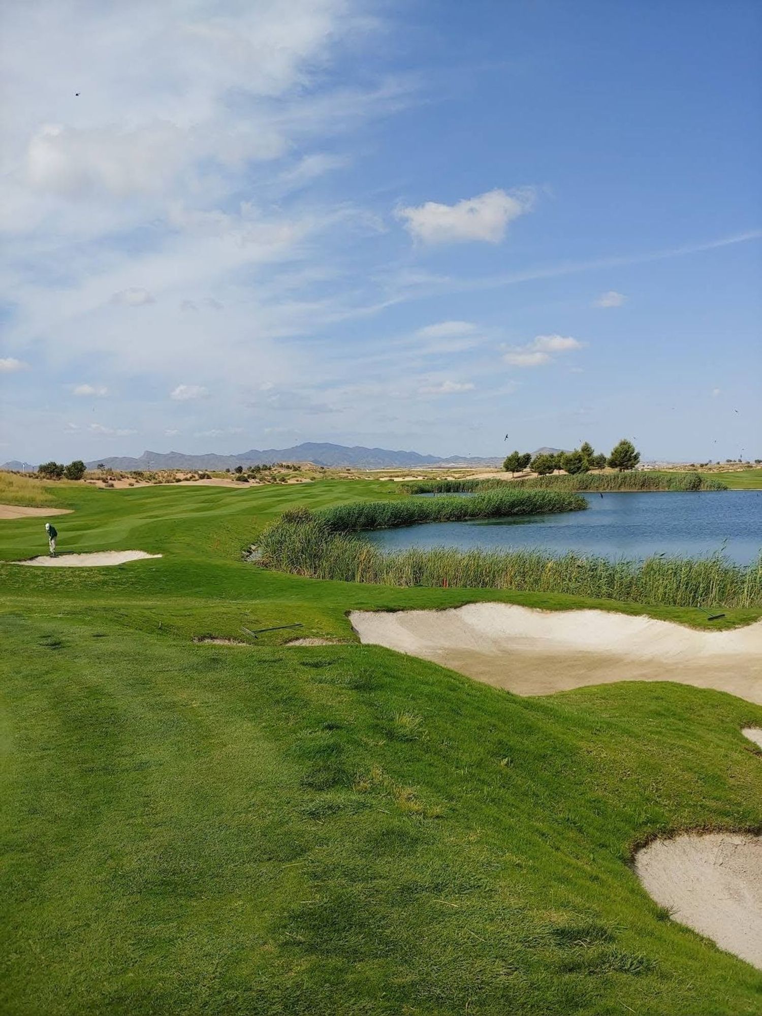 Piso en Condado de Alhama Golf Resort, 439 - Foto 29