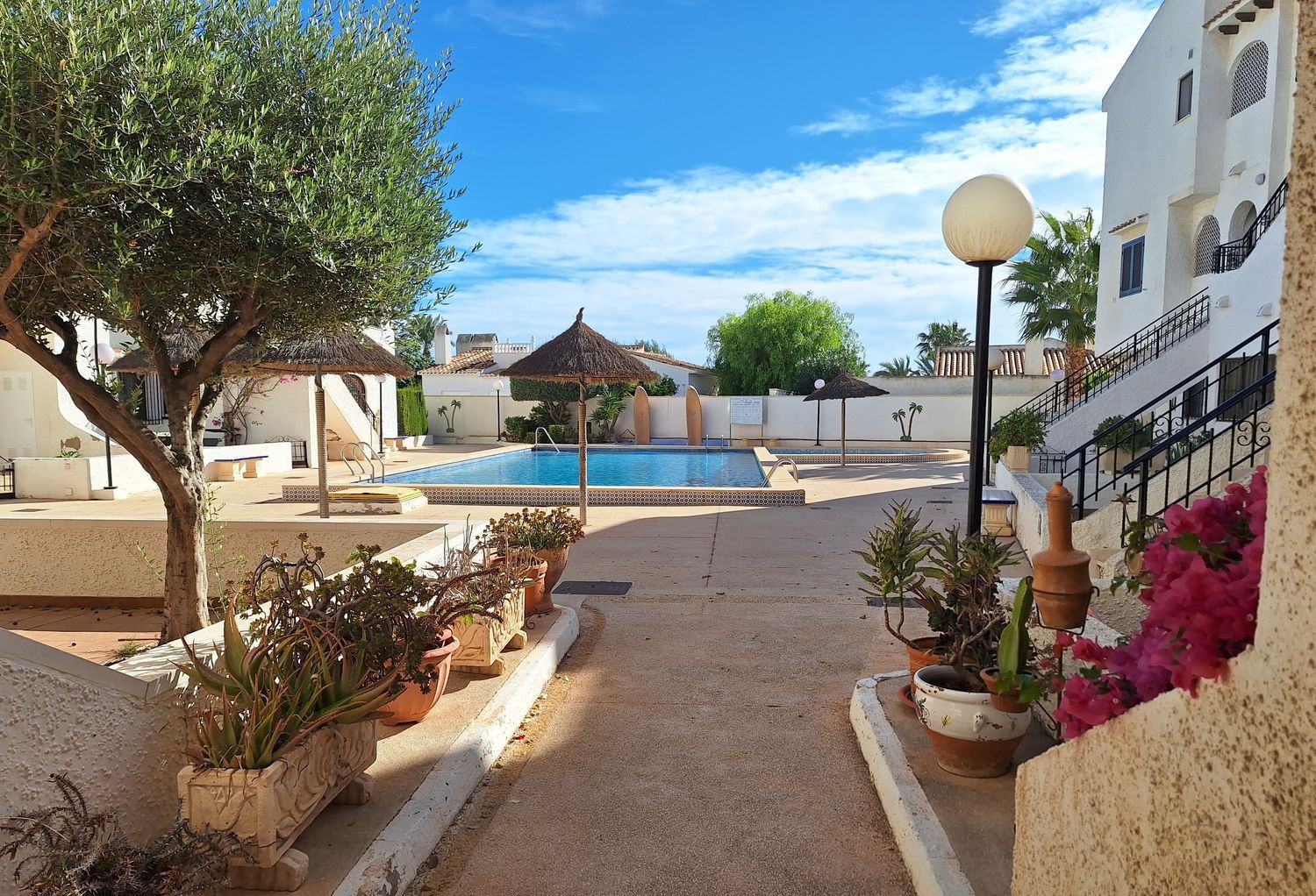 Piso en Calle los Geraneos, 1, Playa Flamenca - Foto 18