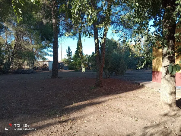 Finca rústica en Camino de las Carretas s/n - Foto 25