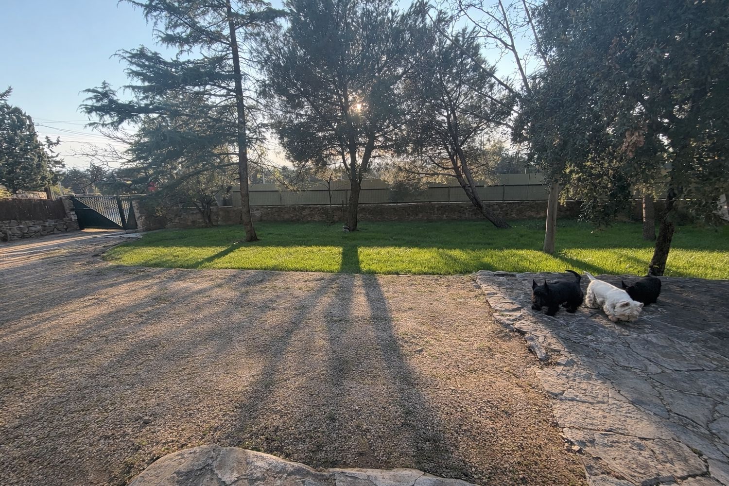 Casa o chalet independiente en La Berzosilla, La Berzosilla - Foto 4