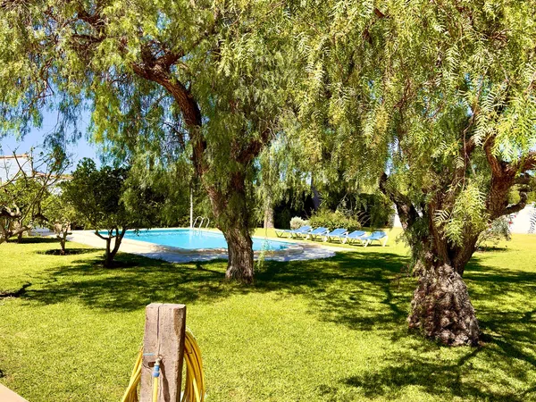 Casa o chalet independiente en Camino de Torre Alta, 118, Las Canteras - El Almendral, Las Canteras - El Almendral - Foto 5