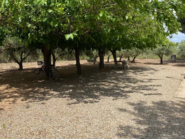 Finca rústica en Avenida Diputación 62, 62, Vilafortuny platja - Foto 11