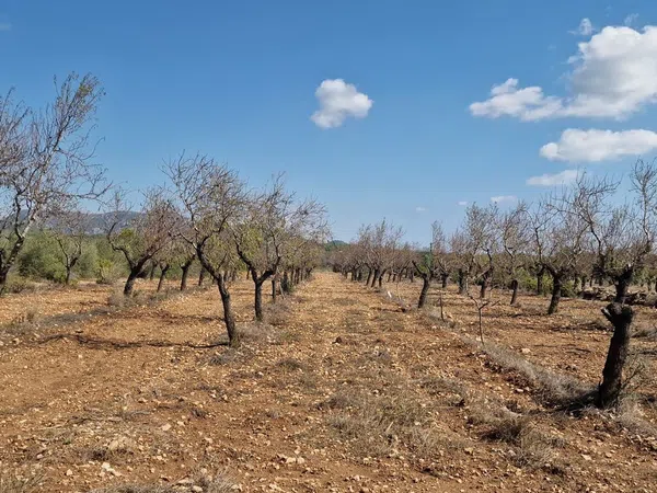 Finca rústica en Via Sense Nom s/n - Foto 26