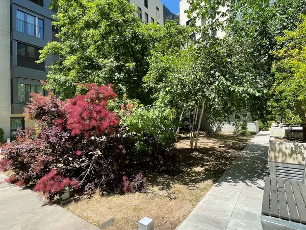 Piso en Plaza Alcalde Moreno Torres, 1, Sanchinarro - Foto 6