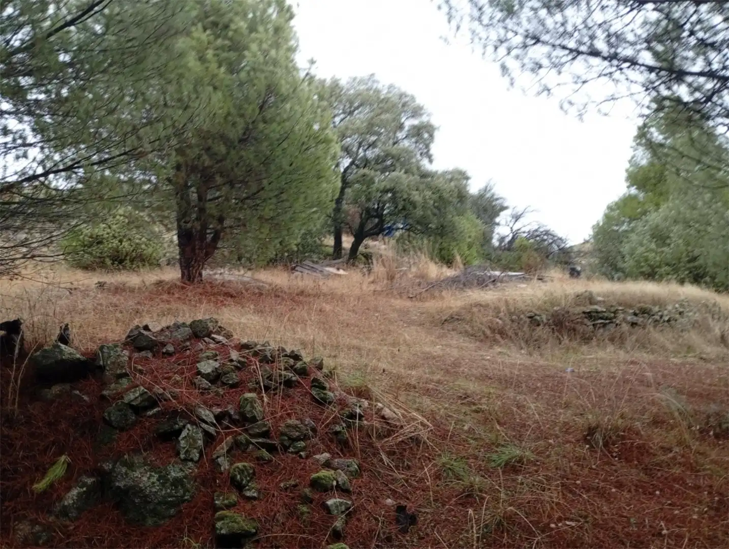 Finca rústica en  Calle Alipio García León 37A - Foto 4