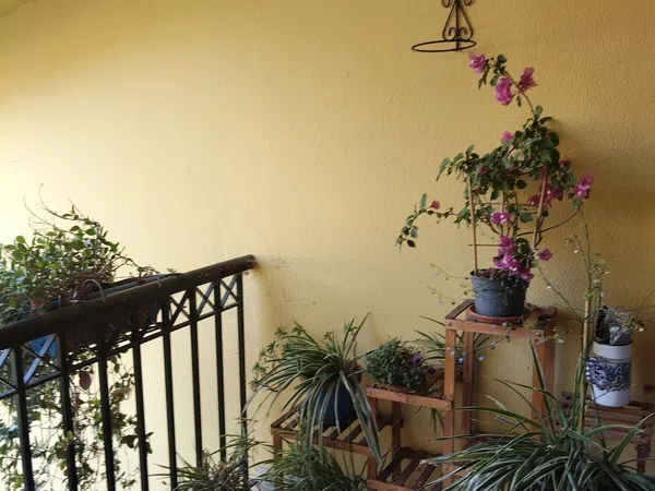 Chalet adosado en San Lorentzo Auzunea, 38 - Foto 8