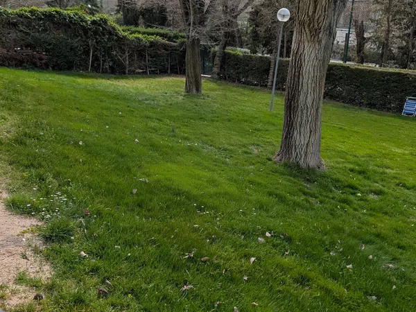 Chalet adosado en calle de Cuesta Blanca, 293 - Foto 10