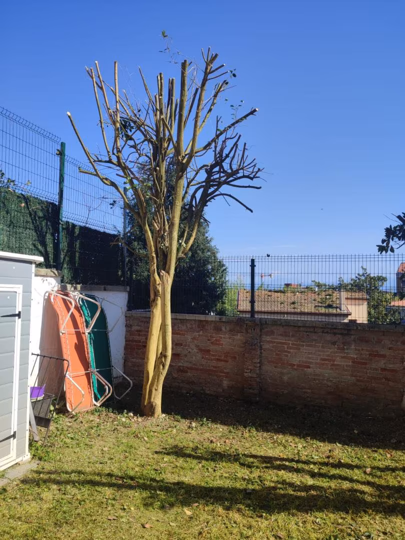 Piso en  Calle Francisco Palazuelos 15 - Foto 6