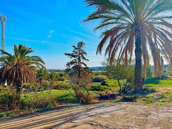 Finca rústica en camino Viejo de Saladas, 2 - Foto 22