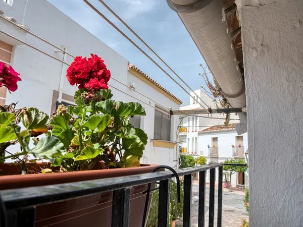 Casa o chalet independiente en Calle Ramón y Cajal, 24, Centro - Foto 13
