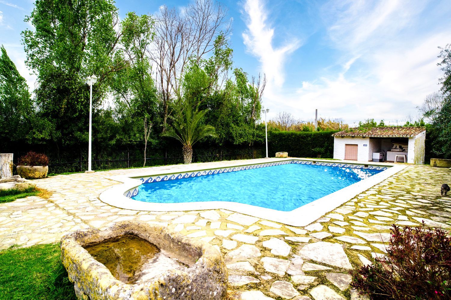 Casa rural en (36.8522990, -5.6169789) s/n - Foto 15