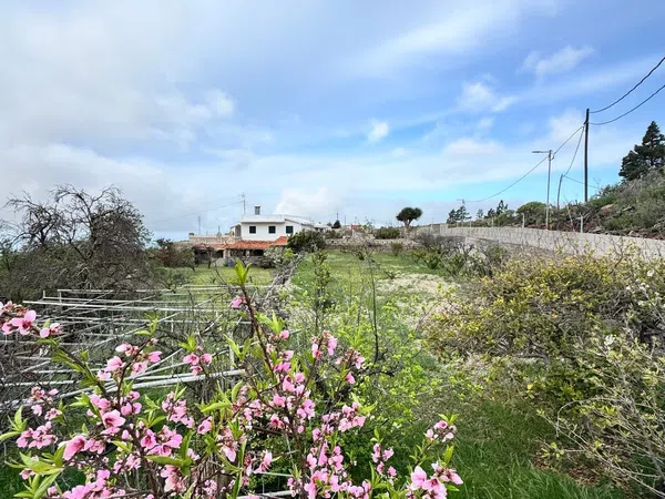Casa terrera en Calle el Charco Frío, 7 - Foto 1