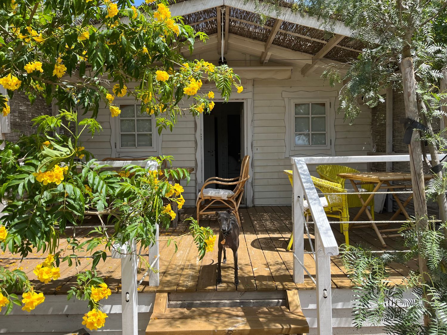 Casa o chalet independiente en Carretera de la ciudad antígua s/n - Foto 3