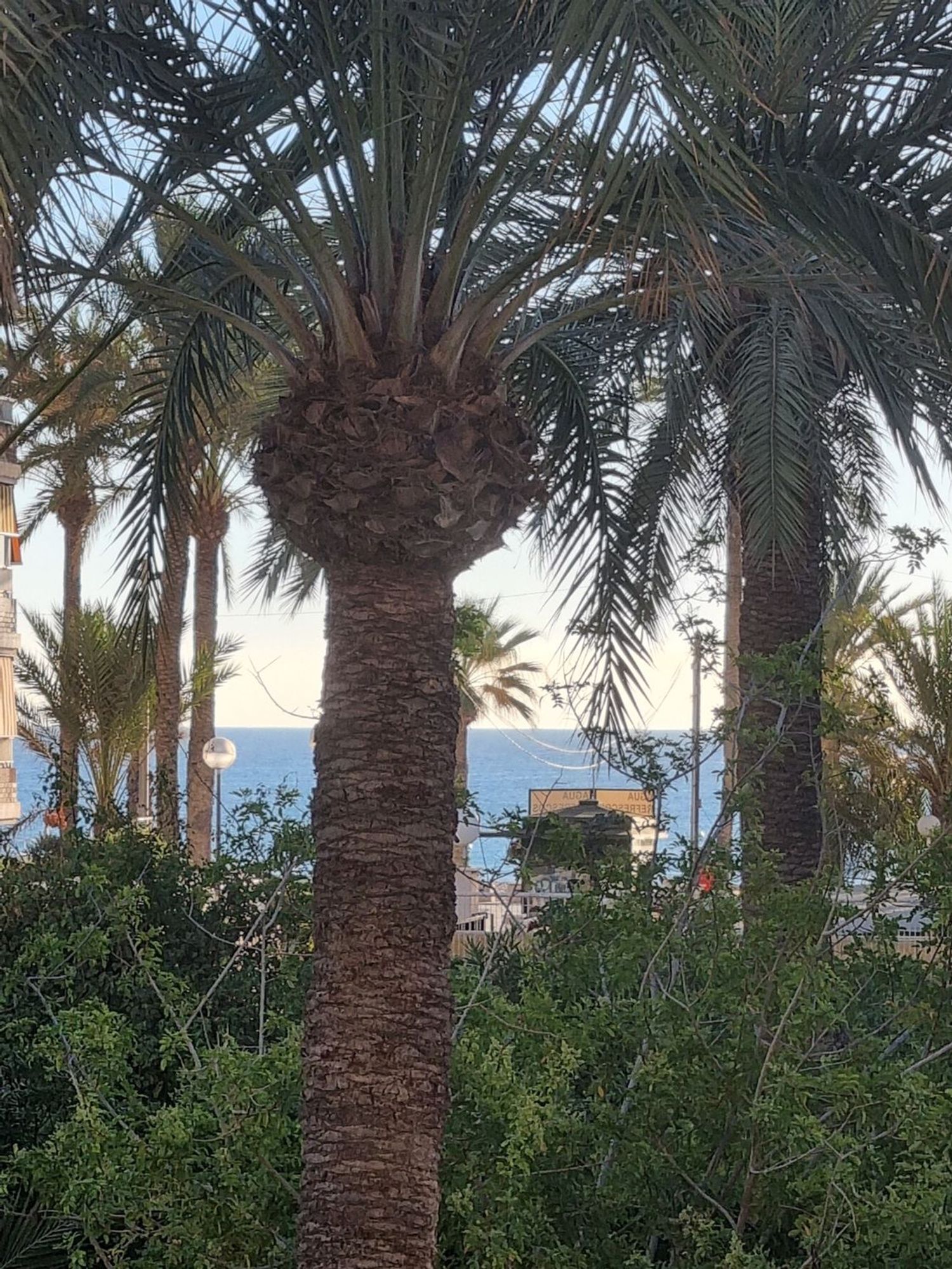 Piso en Avenida de la Costa Blanca, 146, Playa de San Juan - Foto 18