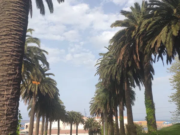 Piso en Grupo Portuarios, 2, Jove - Veriña - Foto 3