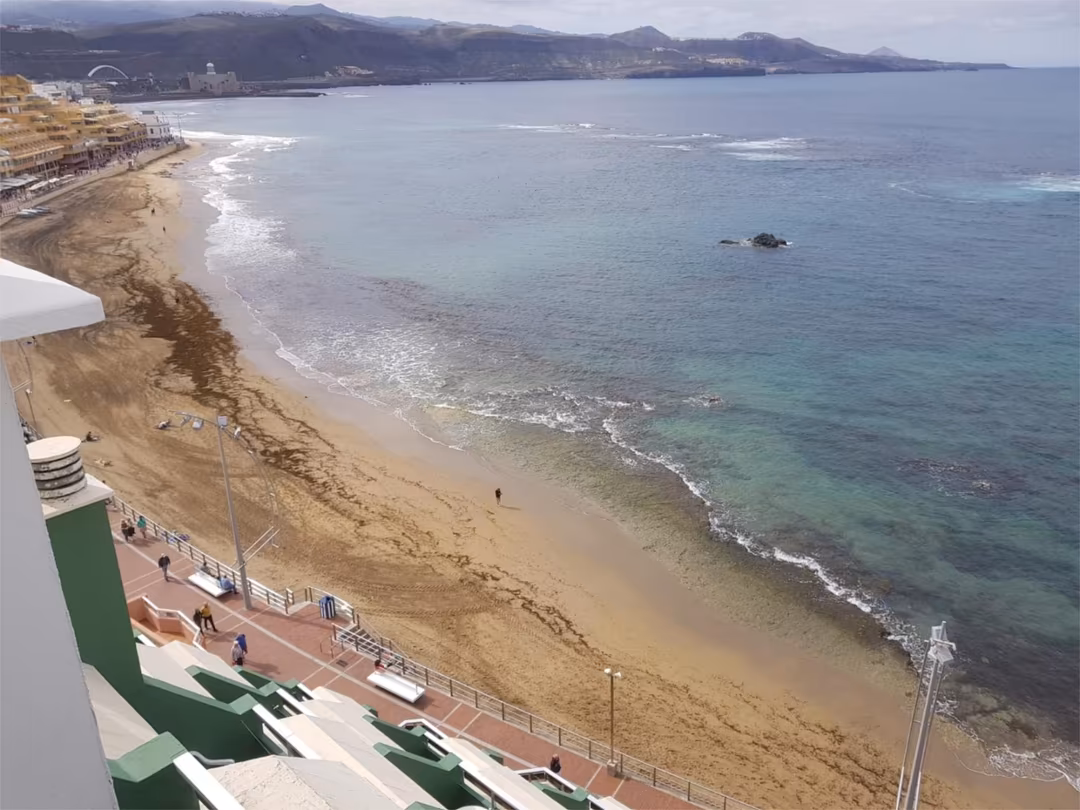 Estudio en  Paseo las Canteras 48 - Foto 17