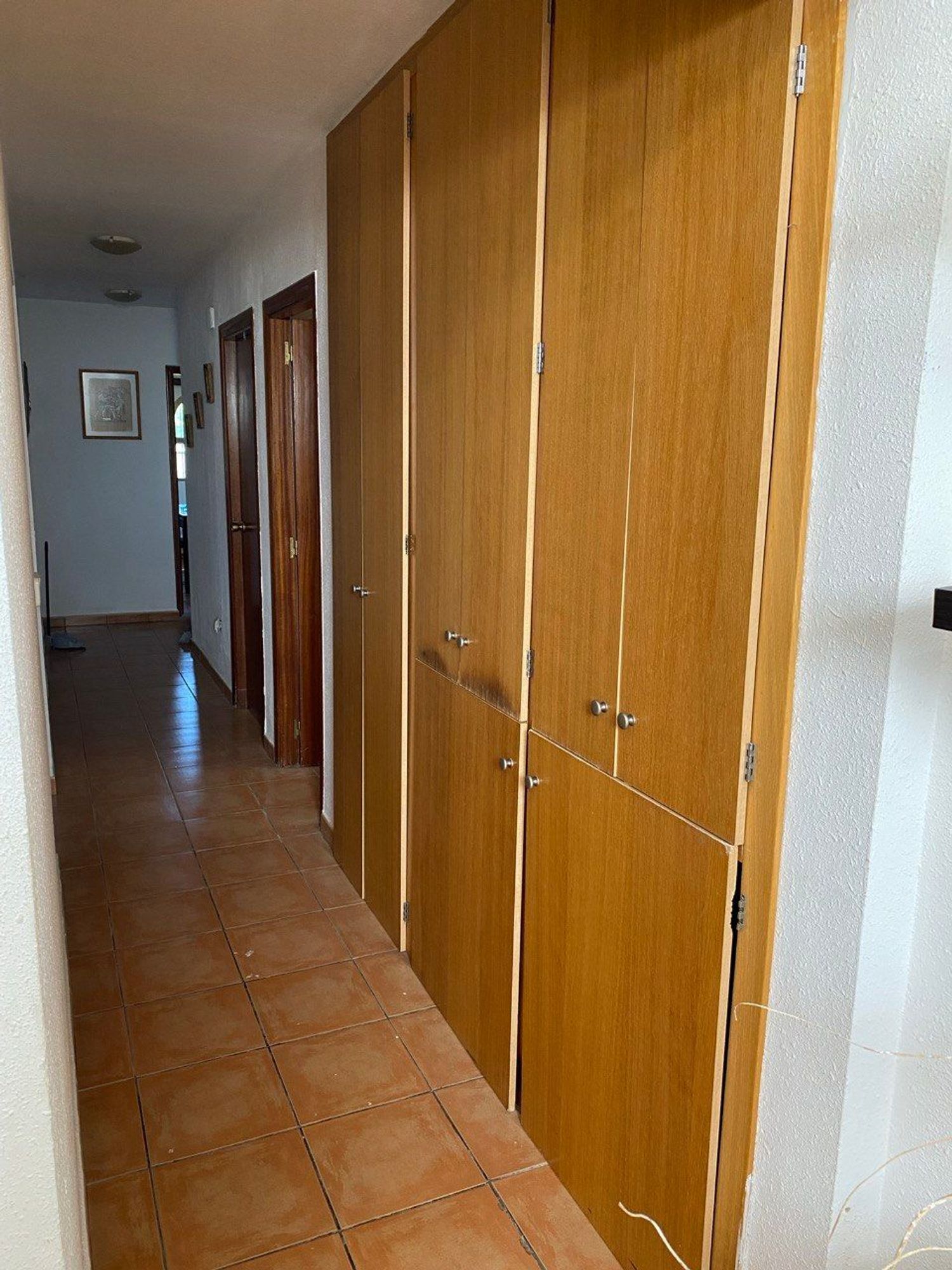 Casa o chalet independiente en Calle de la Violeta, 1, La Huerta, La Huerta - Foto 10