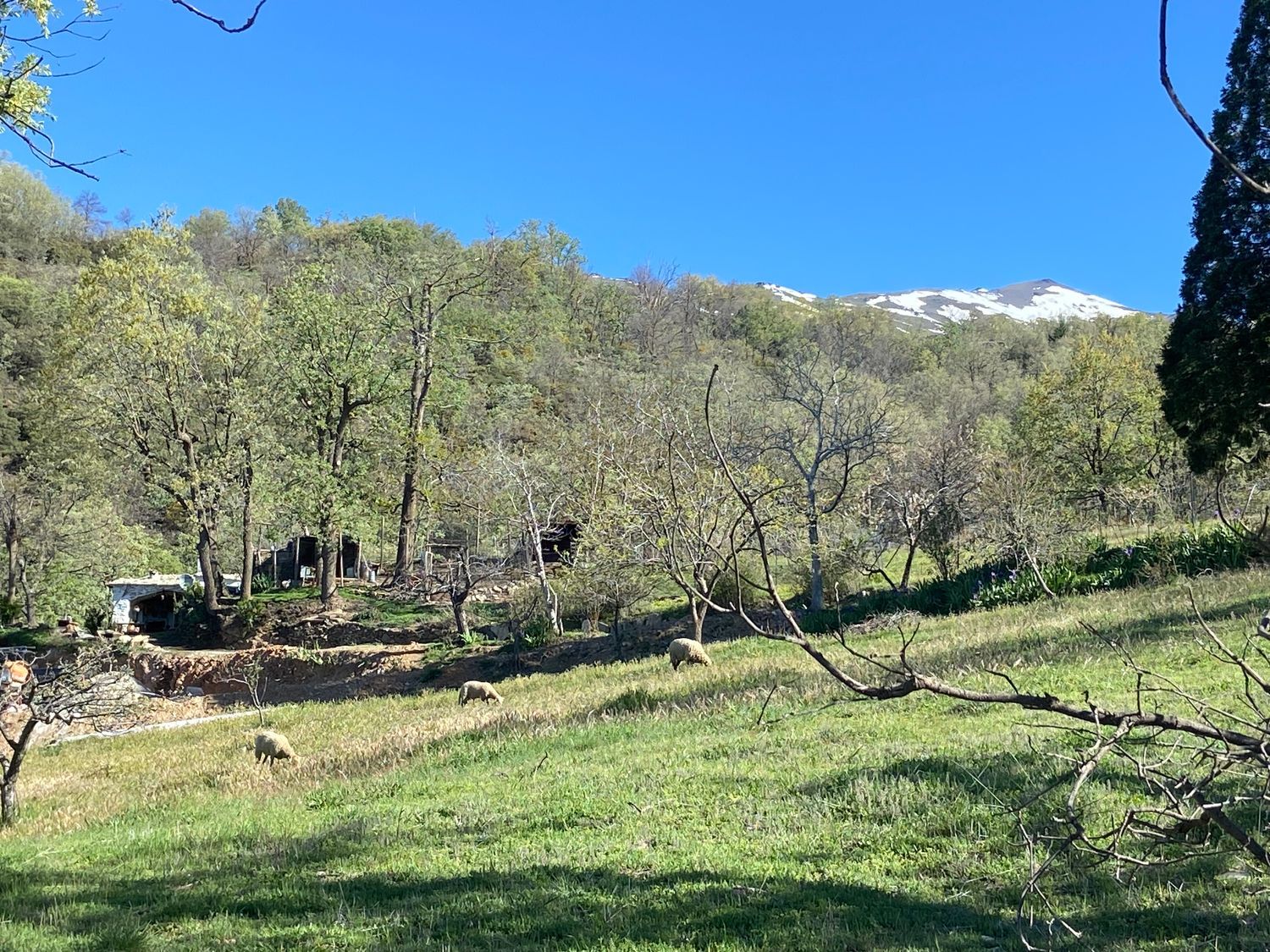 Cortijo en Cerro man, 23 - Foto 32