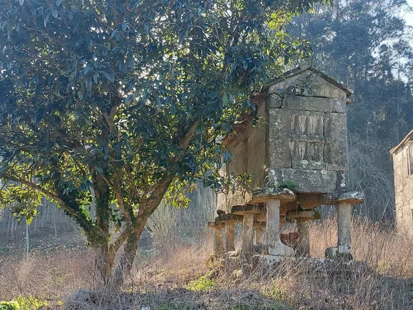 Casa rural en Lugar Cardiña s/n - Foto 3