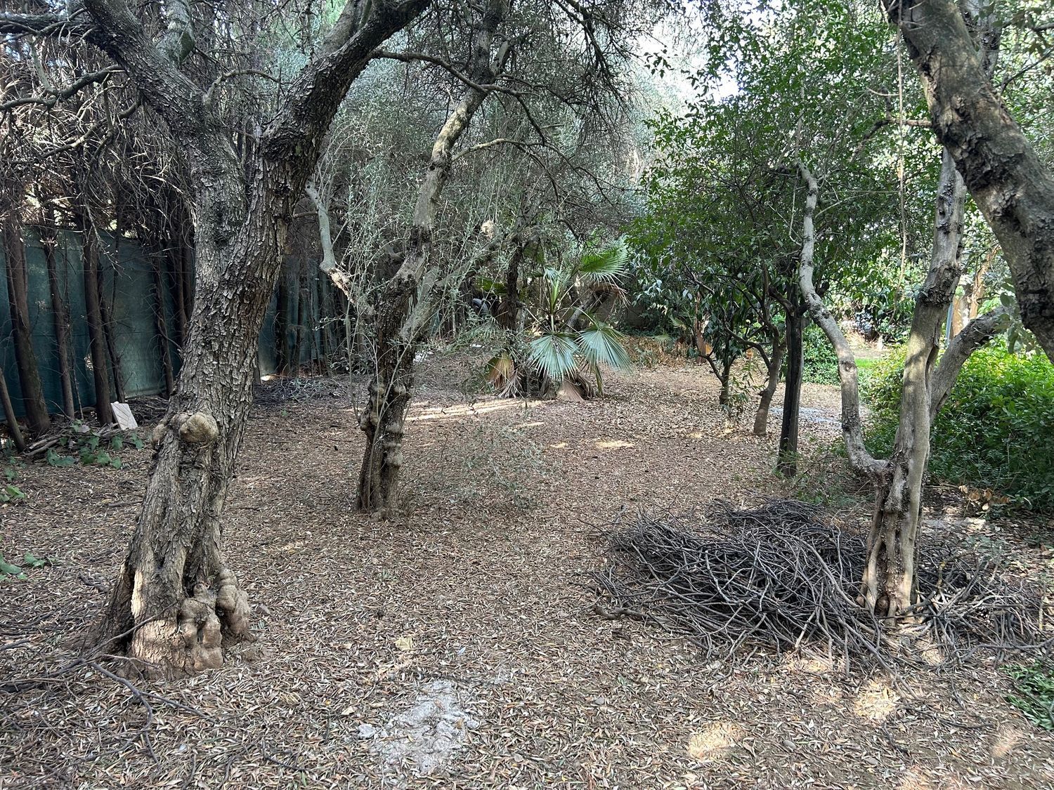 Casa independiente en carretera Puesta Riego Lagar Rubio, 7 k - Foto 40