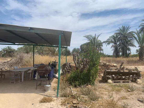 Finca rústica en Carretera de Elche a Casas del León, 30, Algoda-Matola-Llano de San José, Algoda-Matola-Llano de San José - Foto 6