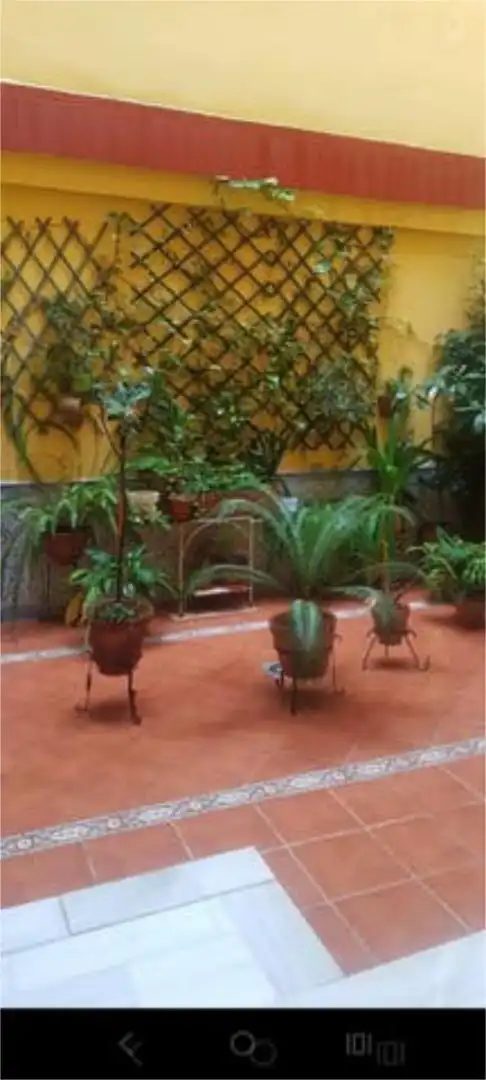 Loft en Alameda - Foto 7