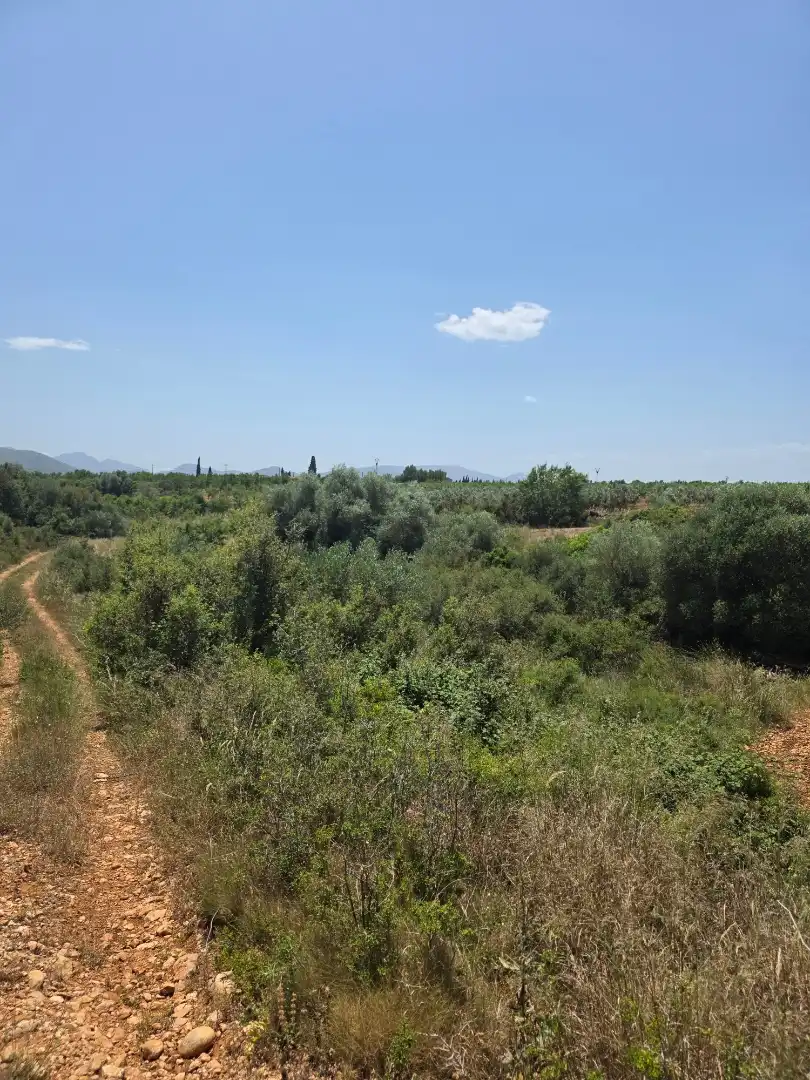 Finca rústica en  Masia els Michans 1 - Foto 3