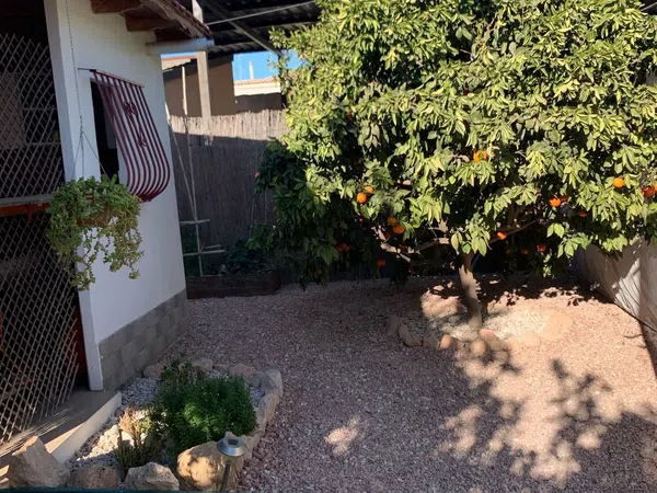 Casa o chalet independiente en Calle Músico Vicente Spiteri, 99, PAU 5 - Foto 10