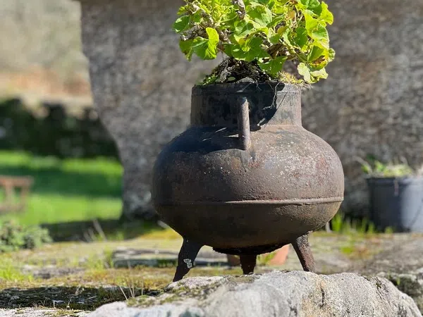 Casa rural en calle Ventosa, 22 - Foto 14