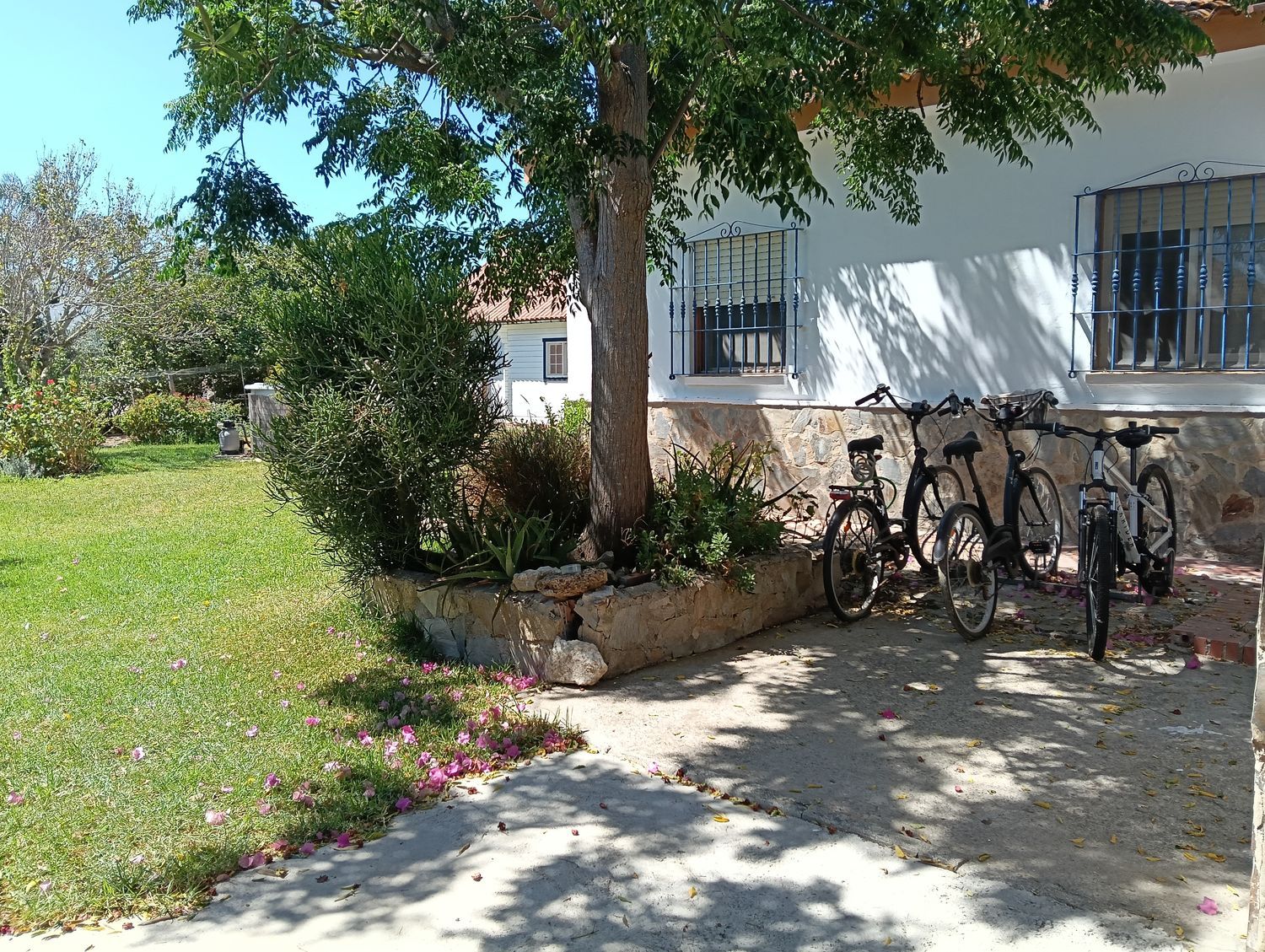 Finca rústica en Carril de la Huerta Festejo, 42, Roche, Roche - Foto 28