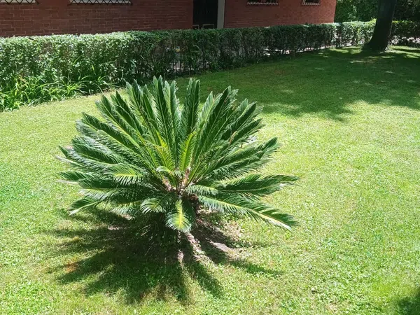 Piso en calle de Colombia, 48