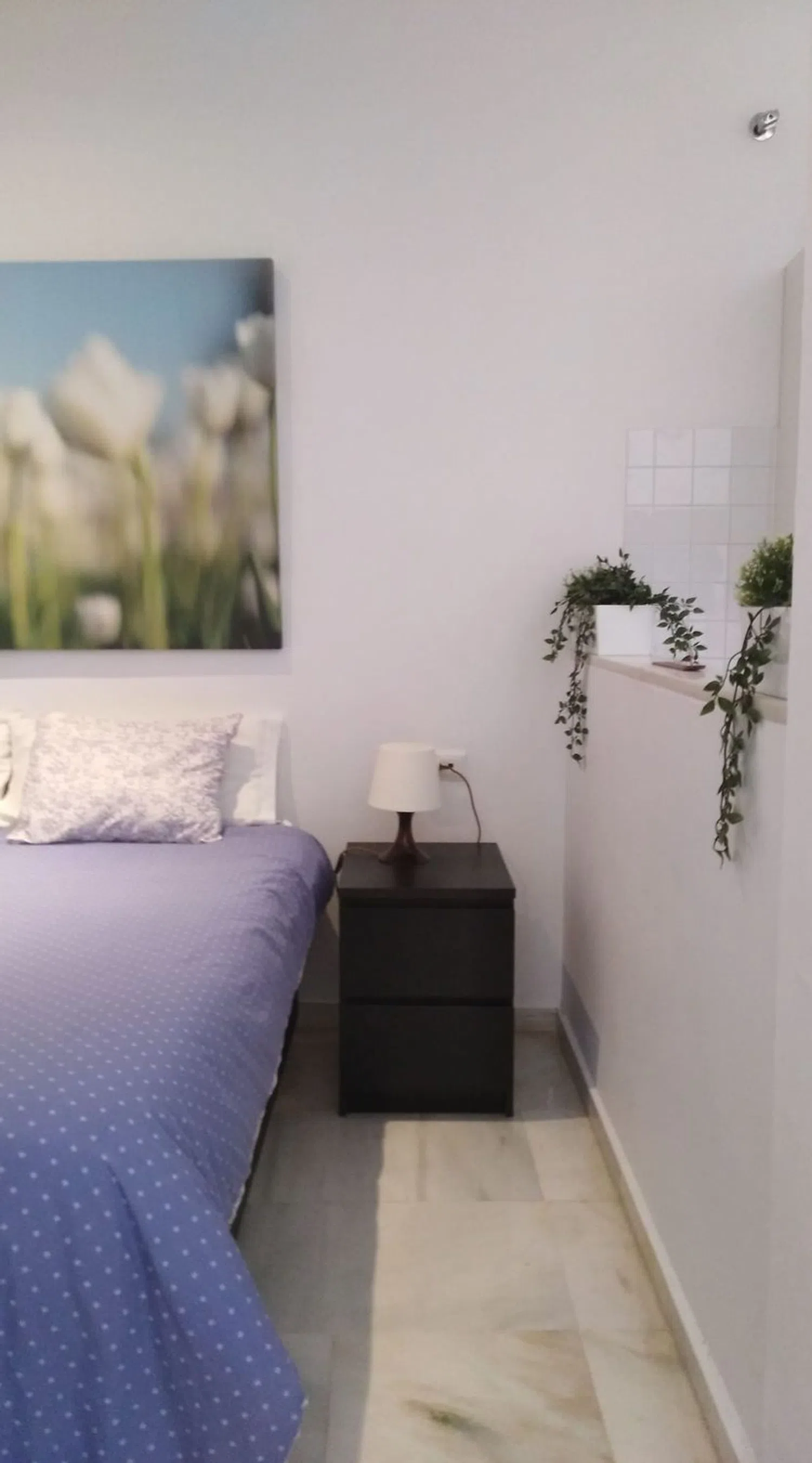 Estudio en calle castellar, 56 - Foto 4