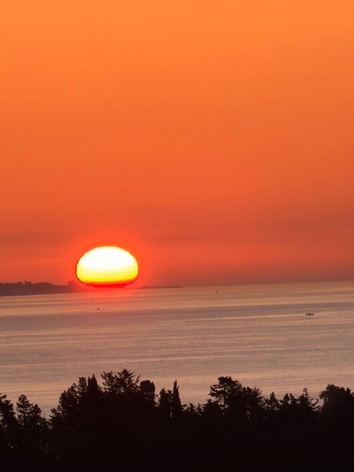 Dúplex en calle de las Adelfas s/n - Foto 12