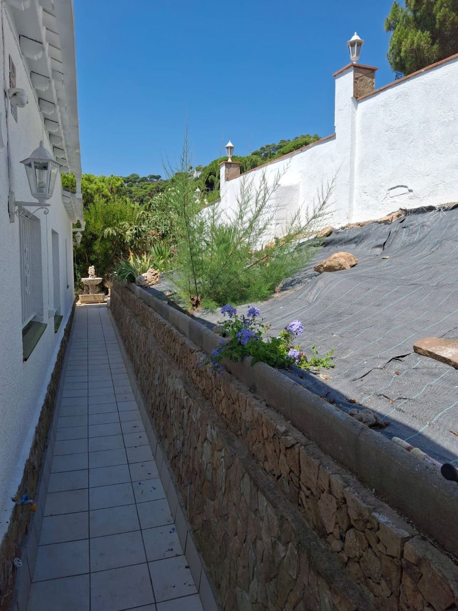 Casa o chalet independiente en Calle del Fonoll, 11, Serra Brava, Serra Brava - Foto 26