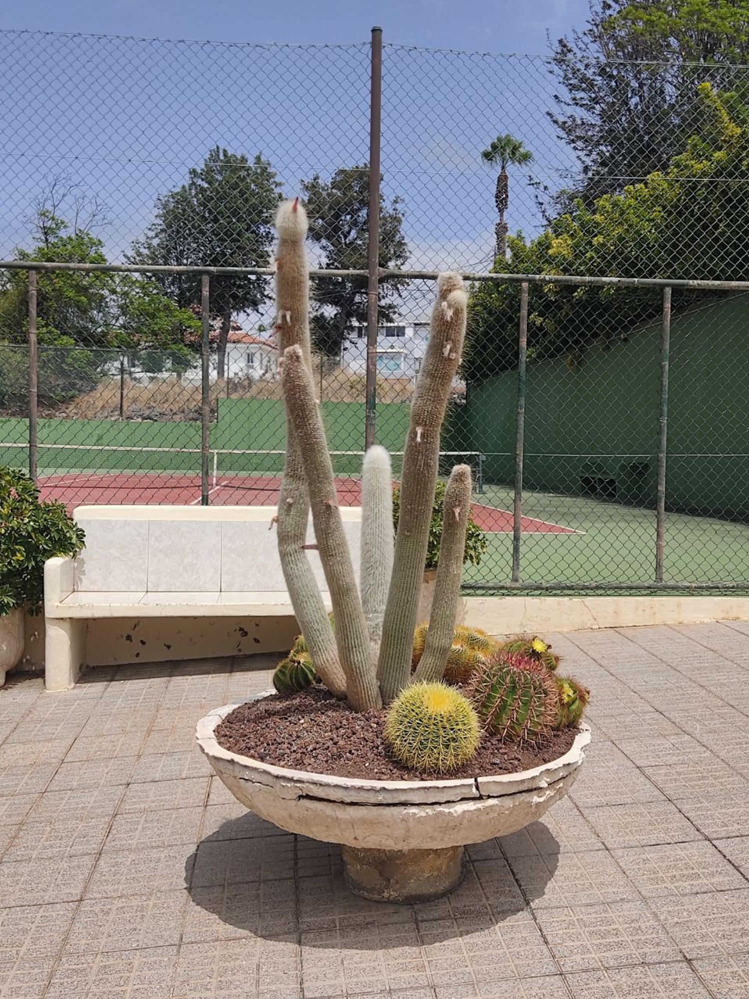 Piso en carretera General Puerto Cruz - Arenas, 66 - Foto 5