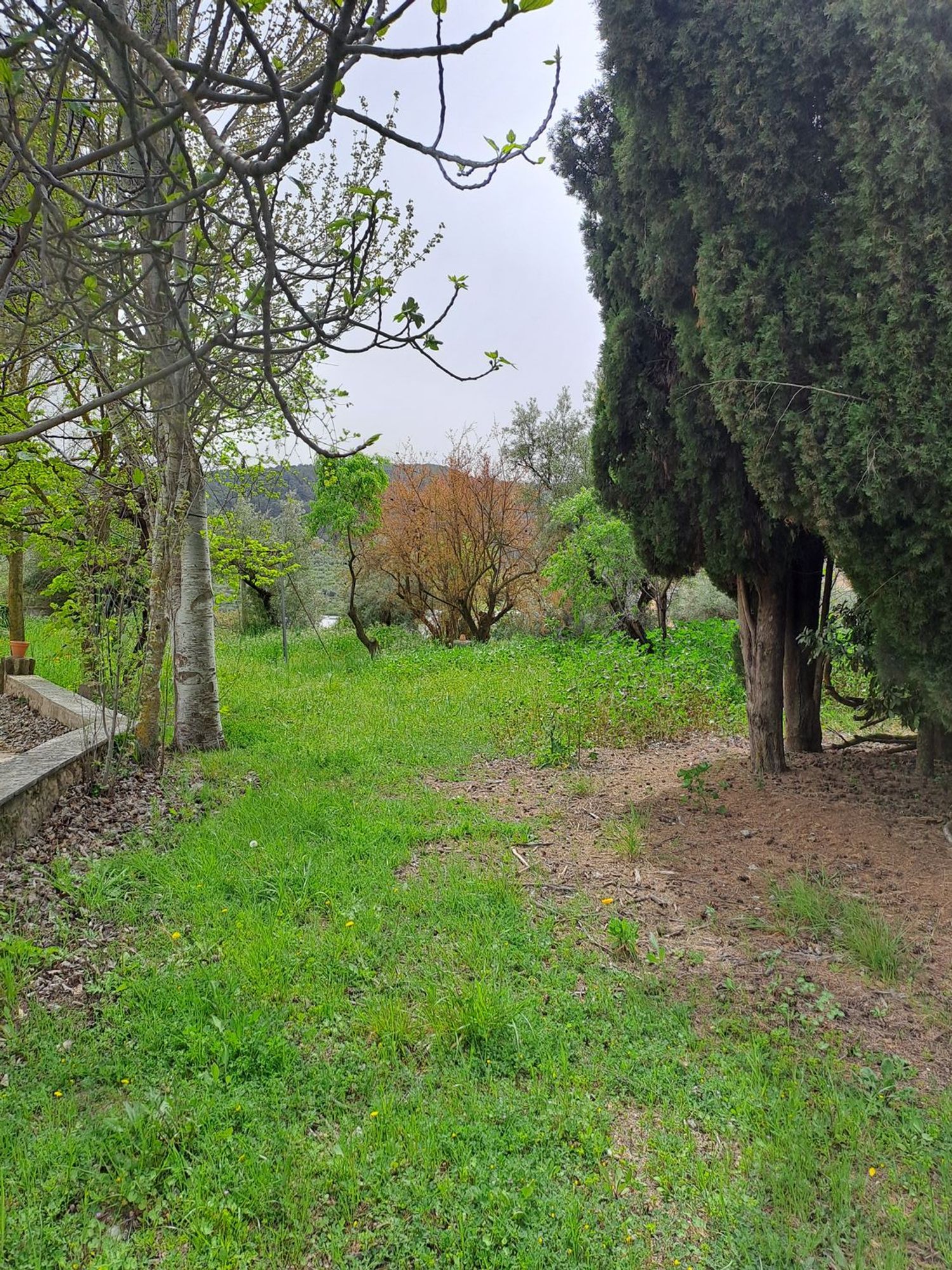 Casa de pueblo en Banyeres de Mariola - Foto 17